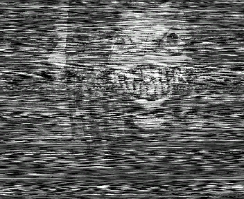 VOTV Archive Image