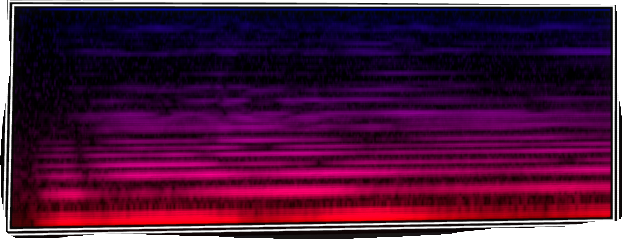 VOTV Archive Image