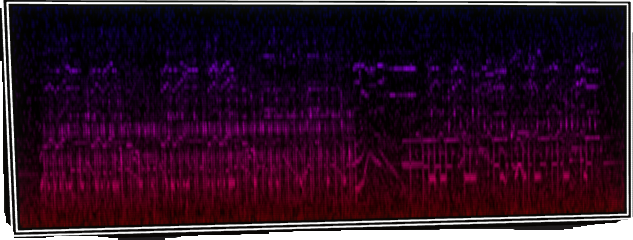 VOTV Archive Image