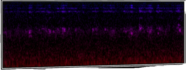 VOTV Archive Image