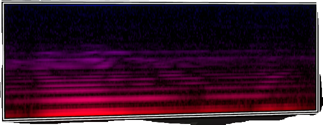 VOTV Archive Image