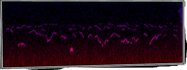 VOTV Archive Image