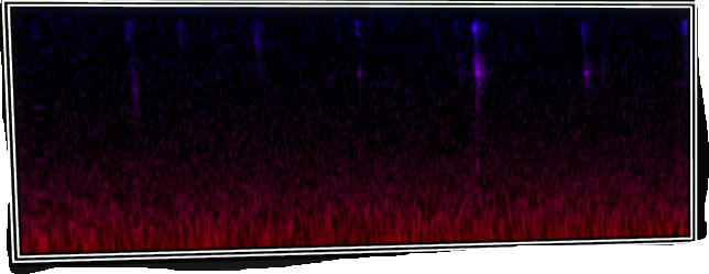 VOTV Archive Image