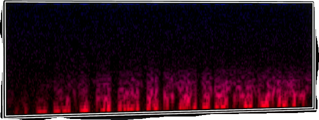 VOTV Archive Image