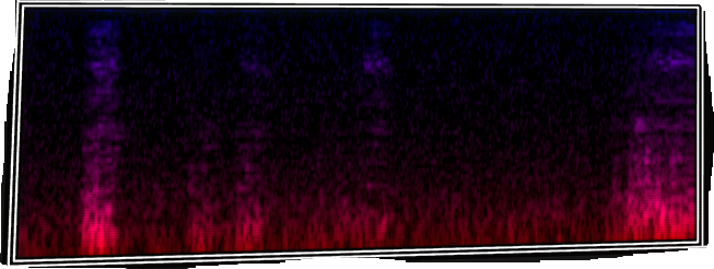 VOTV Archive Image