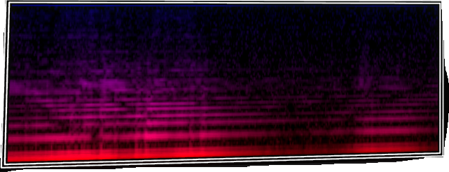 VOTV Archive Image