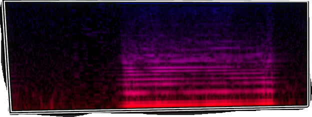 VOTV Archive Image