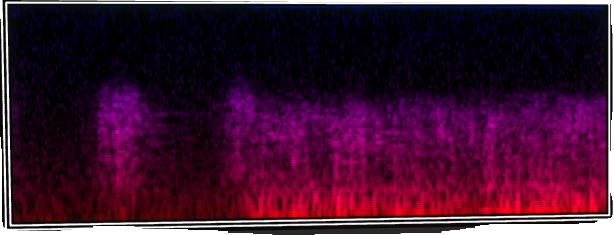 VOTV Archive Image