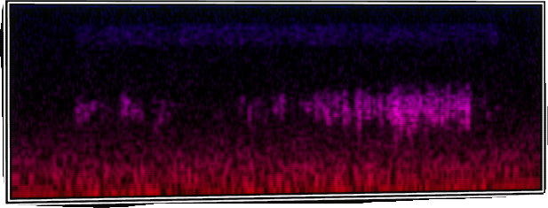 VOTV Archive Image