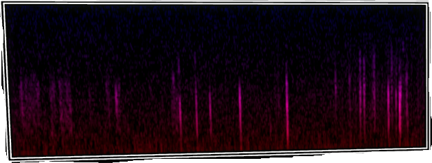 VOTV Archive Image