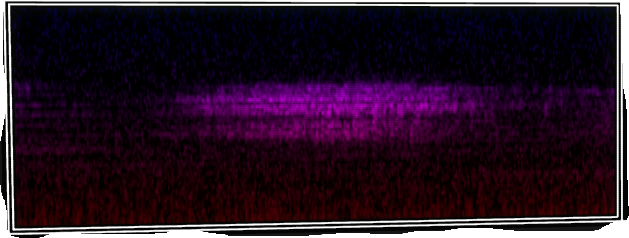 VOTV Archive Image