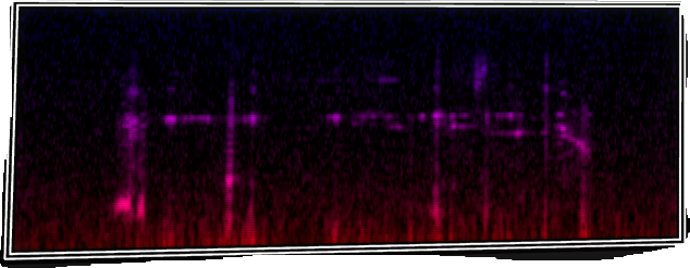VOTV Archive Image