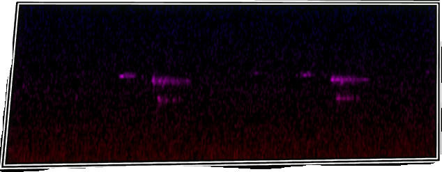 VOTV Archive Image