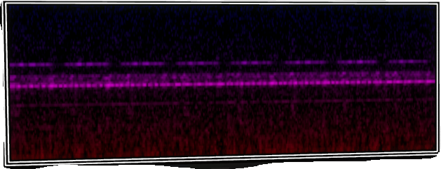 VOTV Archive Image