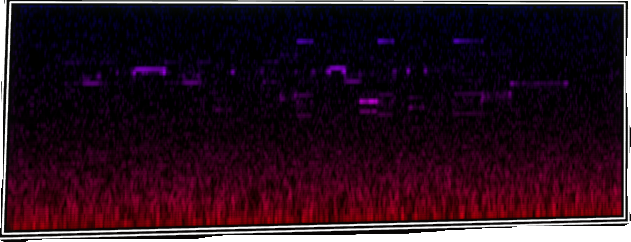 VOTV Archive Image