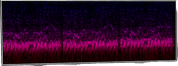 VOTV Archive Image