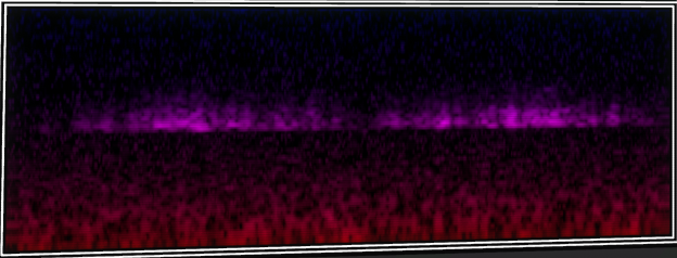 VOTV Archive Image