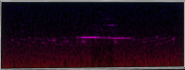 VOTV Archive Image
