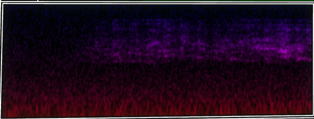 VOTV Archive Image