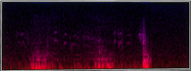 VOTV Archive Image