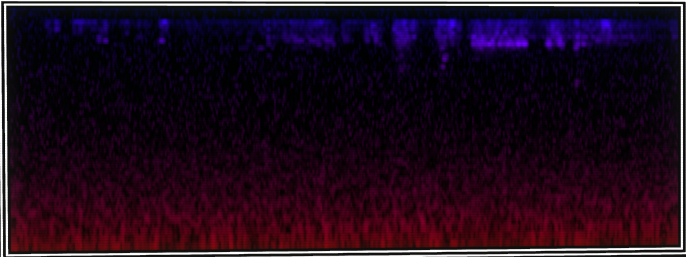 VOTV Archive Image
