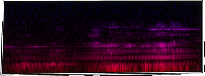 VOTV Archive Image