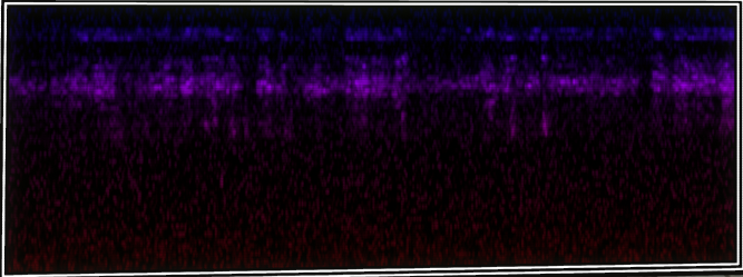 VOTV Archive Image