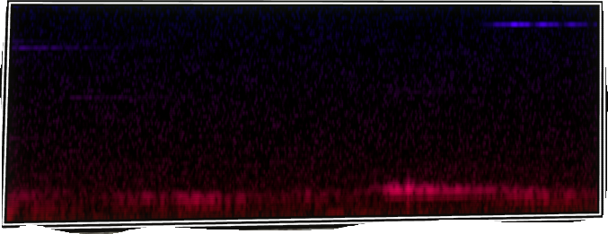 VOTV Archive Image
