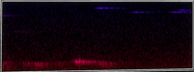 VOTV Archive Image