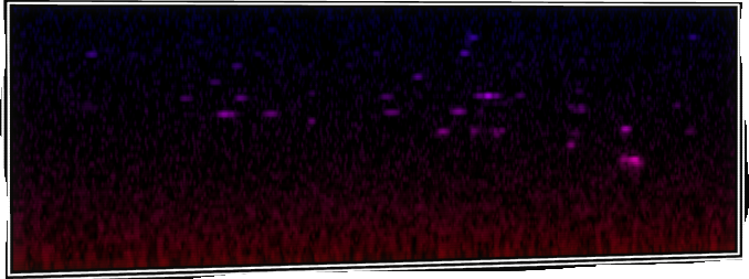 VOTV Archive Image
