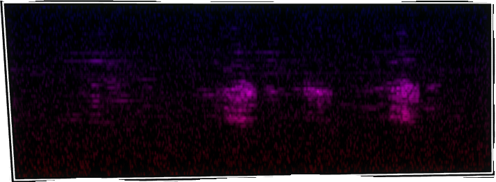 VOTV Archive Image
