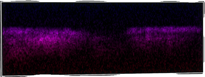 VOTV Archive Image