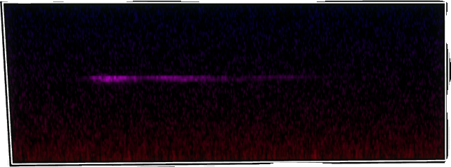 VOTV Archive Image