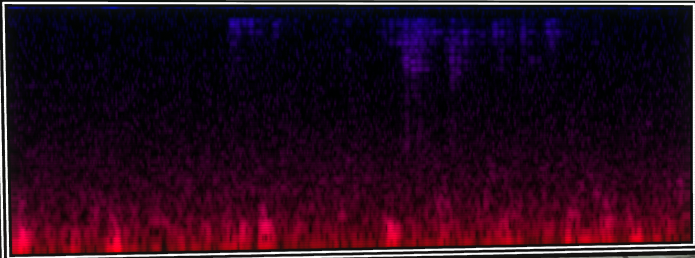VOTV Archive Image