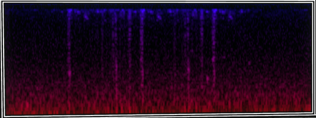 VOTV Archive Image